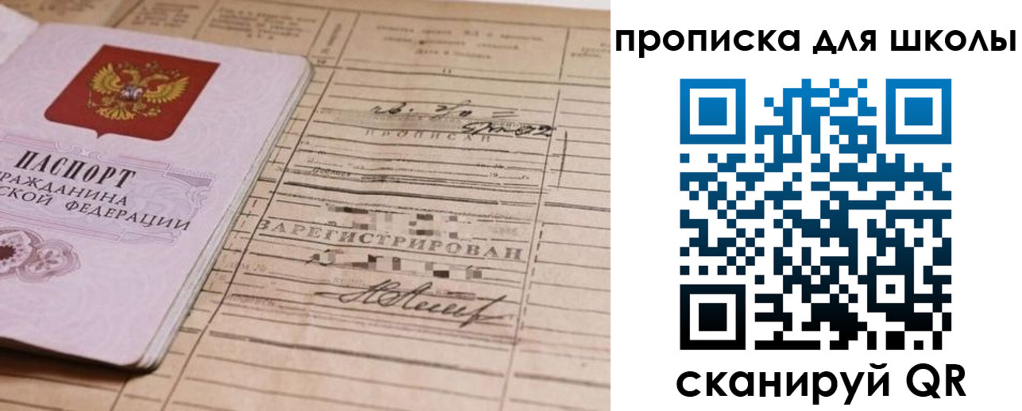 прописка поиск в Бородино